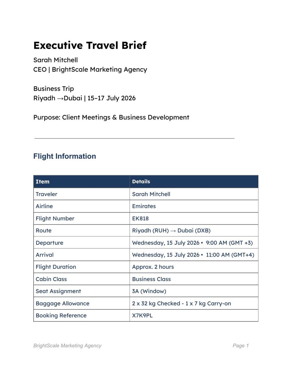 Executive Travel Brief document preview